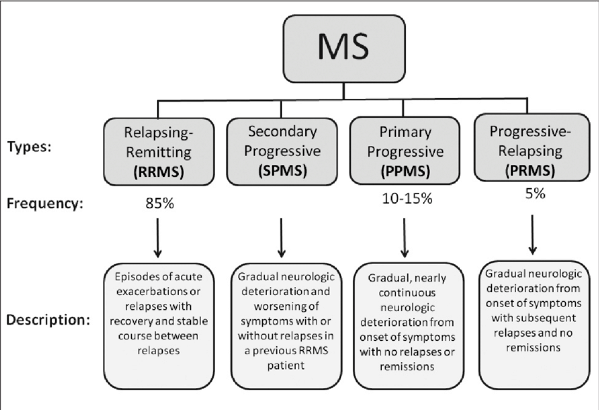 Multiple Sclerosis Breakdown Chart 